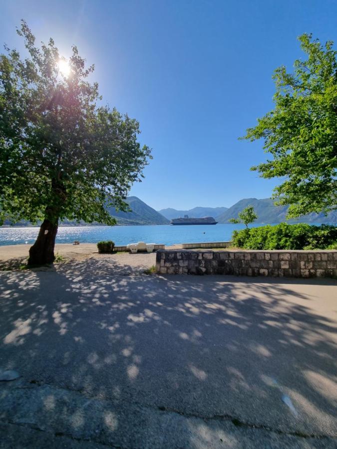Appartement On The Coast, With A View Of The Sunrise,free We-fi